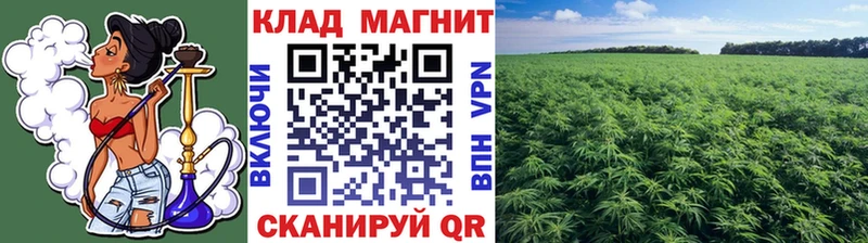 Где купить наркотики Могоча СОЛЬ Мефедрон ГАШ Конопля COCAIN