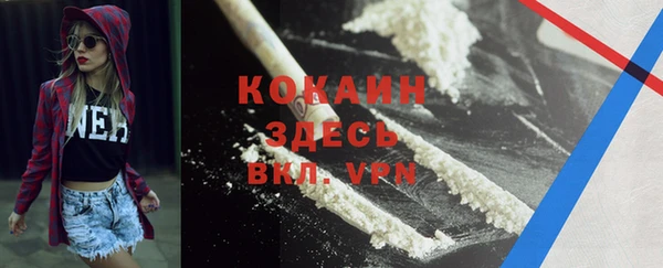 винт Алексин