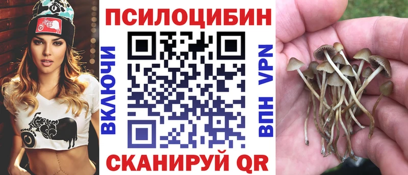 Галлюциногенные грибы Psilocybine cubensis  Могоча 